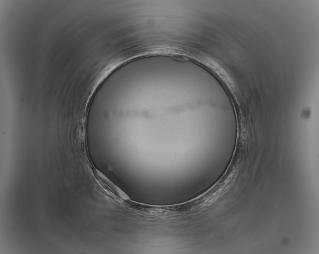 X0000097921097200803281420