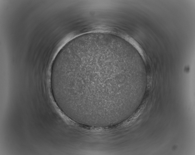 X0000097921099200803281420