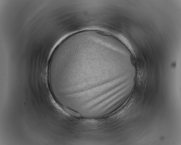 X0000097921100200803281420