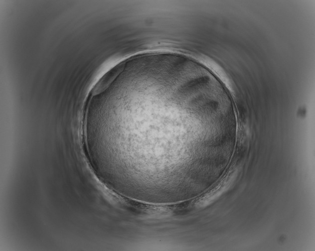 X0000097921101200803281420