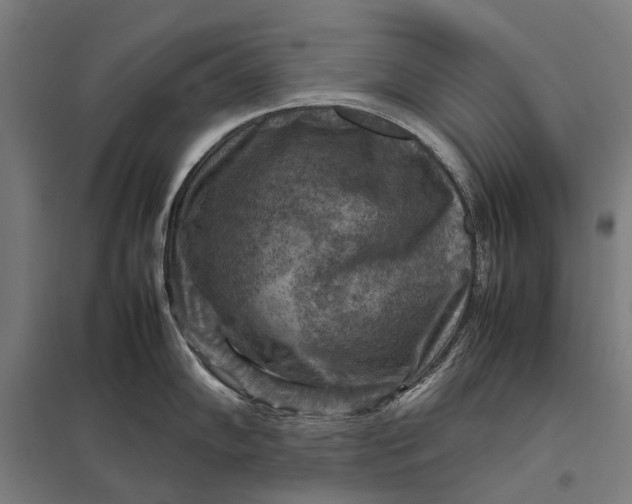 X0000097921102200803281420