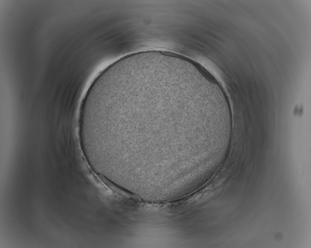 X0000097921104200803281420