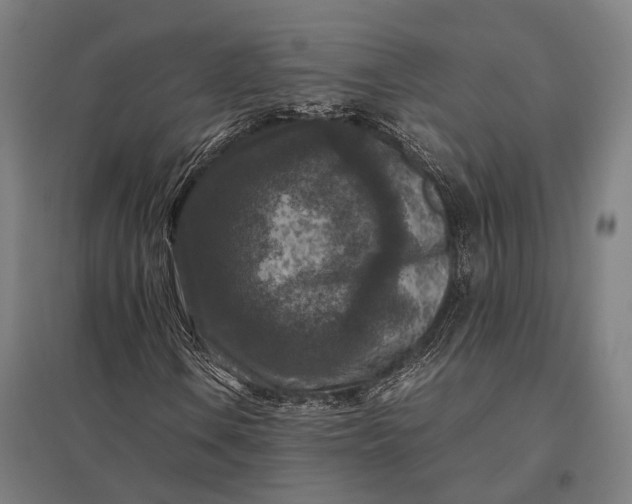 X0000097921106200803281420