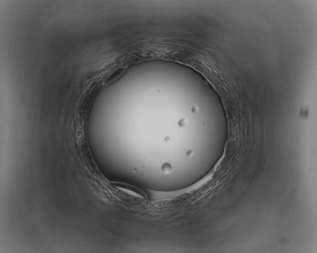 X0000097921109200803281420