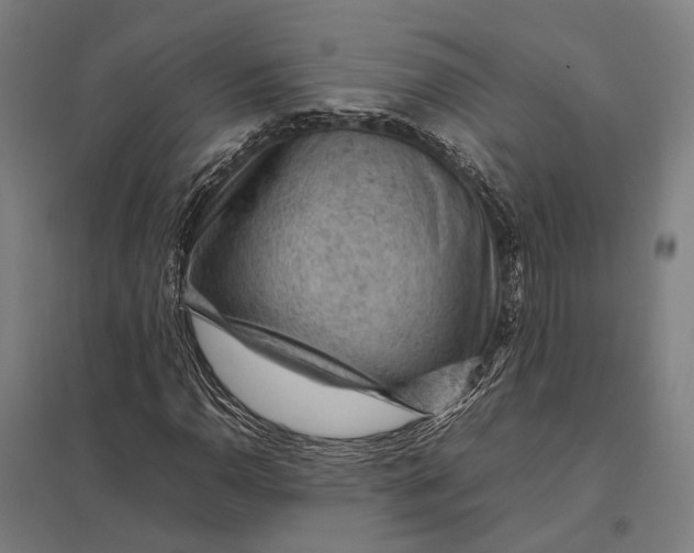 X0000097921110200803281420