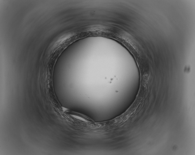 X0000097921111200803281420