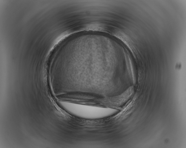 X0000097921115200803281420