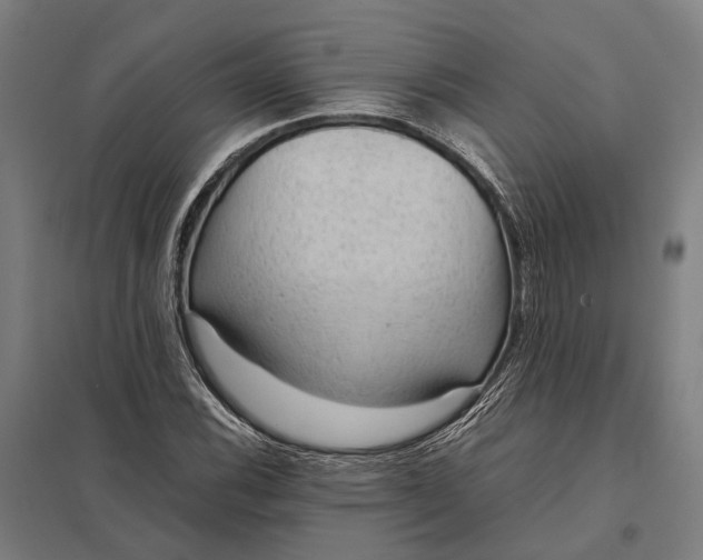 X0000097921116200803281420