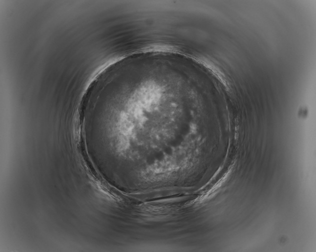 X0000097921117200803281420