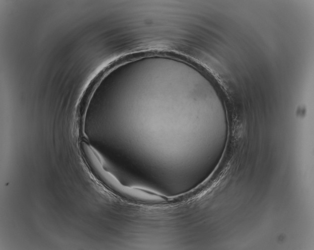 X0000097921118200803281420