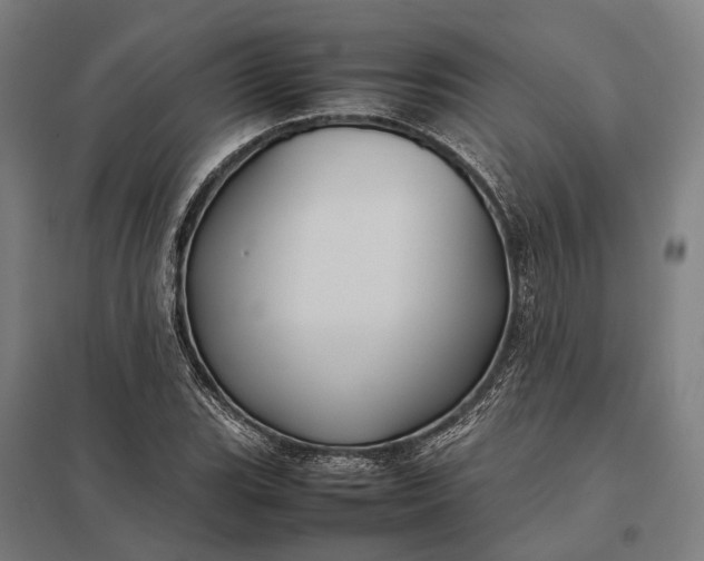 X0000097921119200803281420