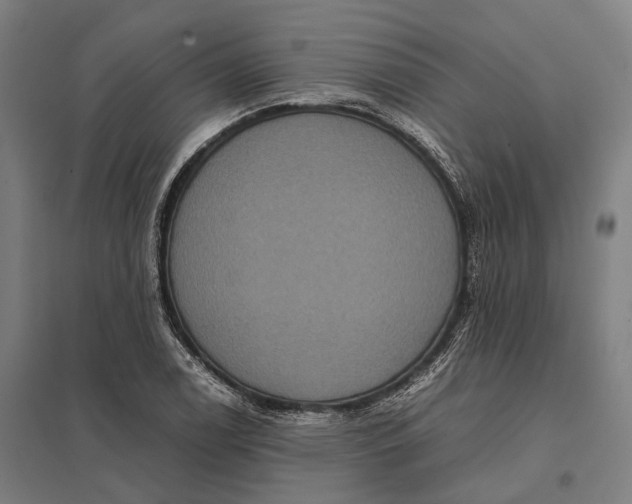 X0000097921122200803281420