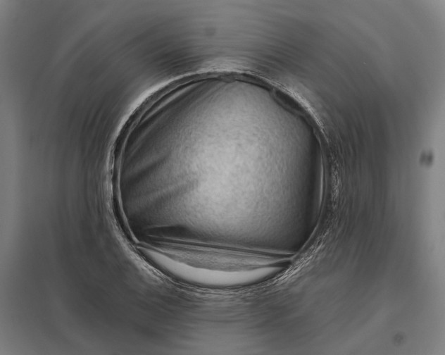 X0000097921124200803281420