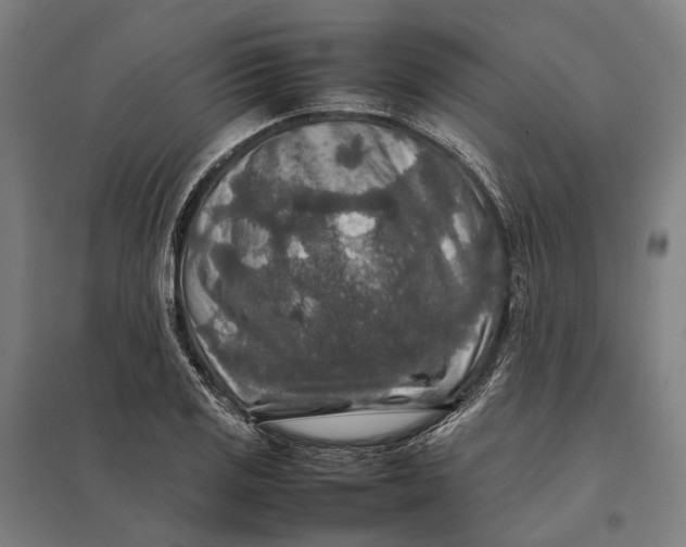 X0000097921125200803281420