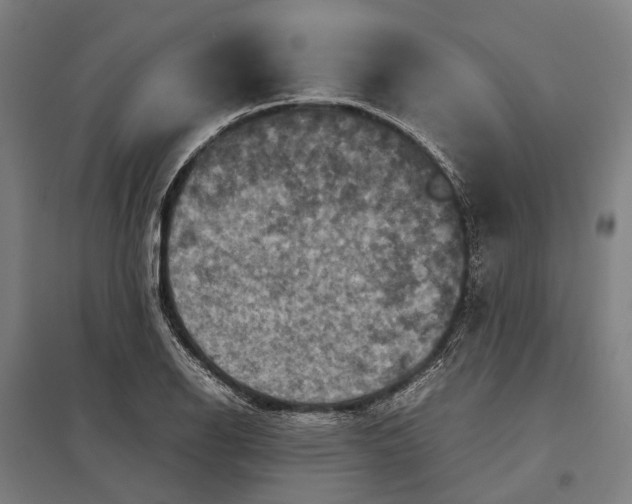 X0000097921126200803281420