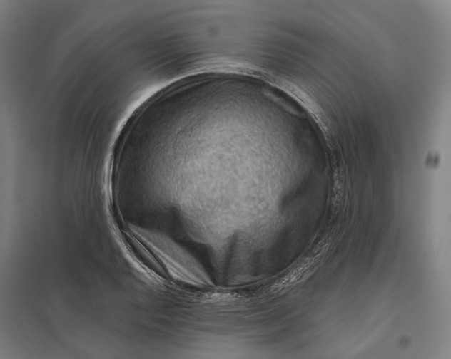 X0000097921128200803281420