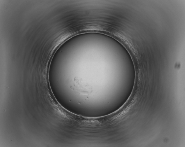 X0000097921129200803281420