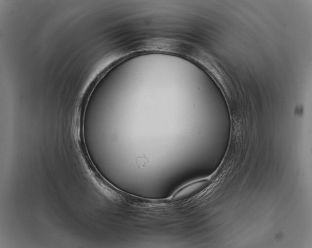 X0000097921131200803281420