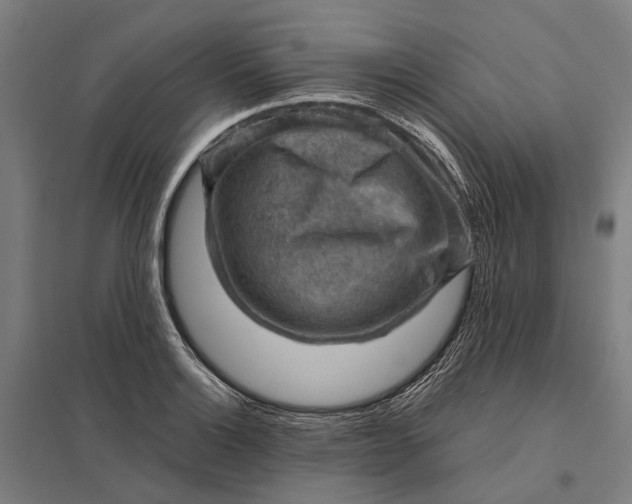 X0000097921132200803281420