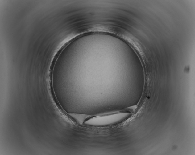 X0000097921133200803281420