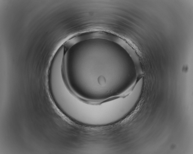 X0000097921134200803281420