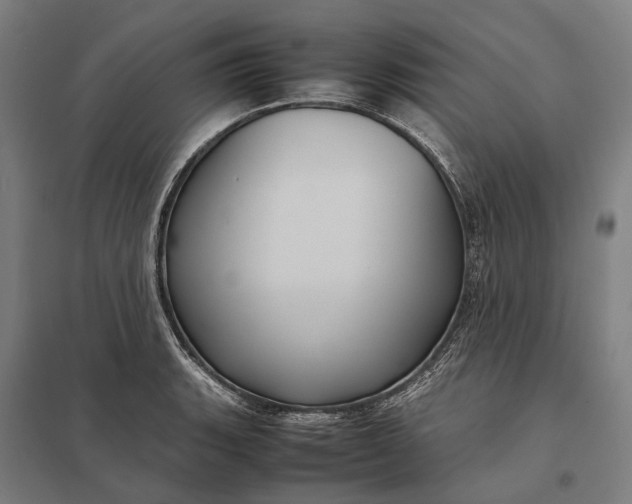 X0000097921135200803281420