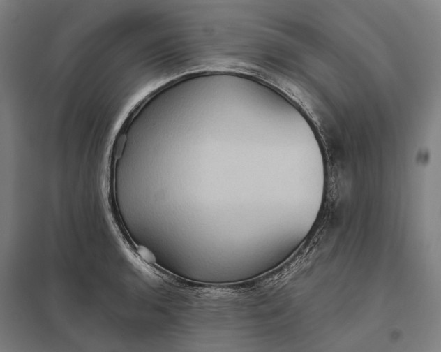 X0000097921136200803281420