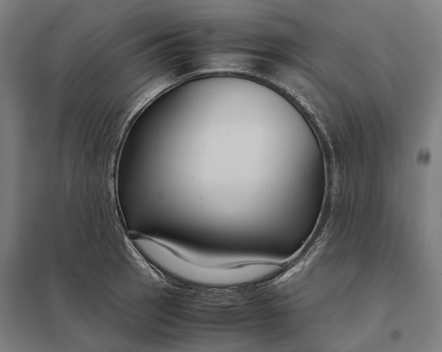 X0000097921137200803281420