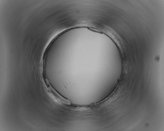 X0000097921140200803281420