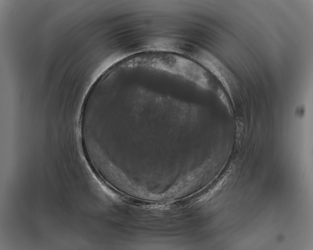 X0000097921141200803281420