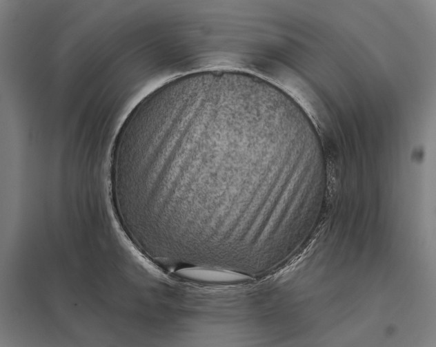 X0000097921142200803281420