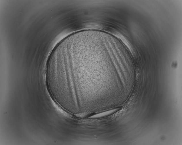 X0000097921143200803281420