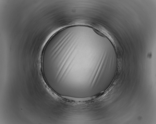 X0000097921148200803281420