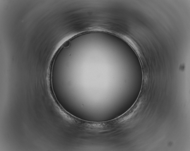 X0000097921149200803281420