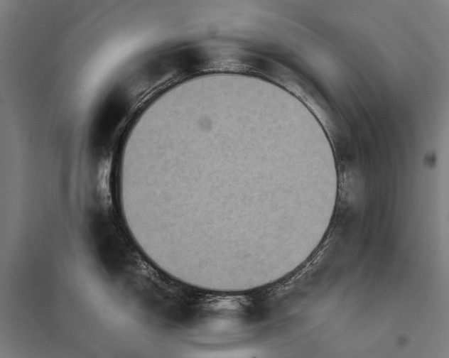 X0000097921150200803281420