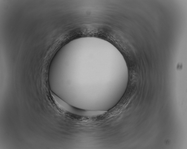 X0000097921153200803281419