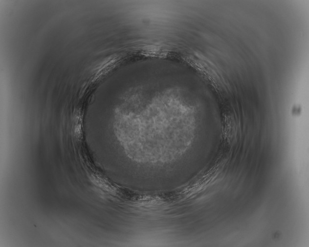 X0000097921154200803281419