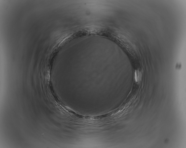 X0000097921155200803281419