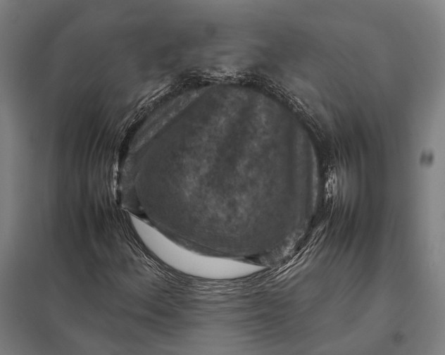 X0000097921156200803281419