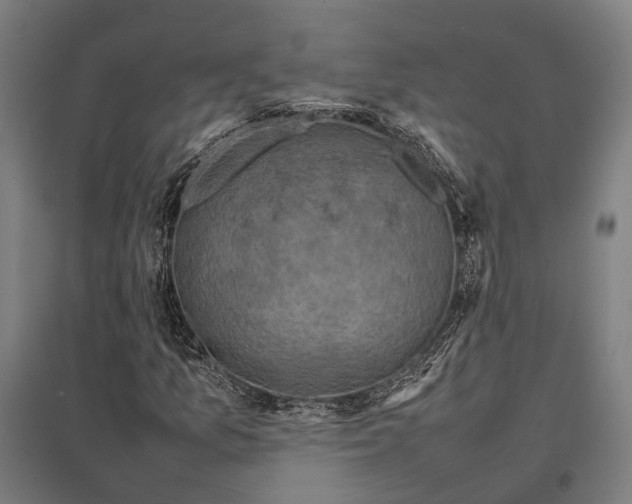 X0000097921157200803281419