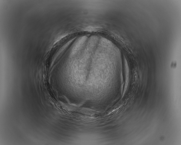 X0000097921158200803281419