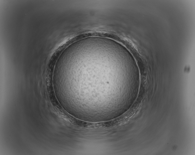 X0000097921159200803281419