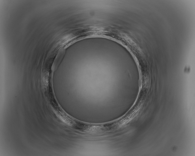 X0000097921161200803281419