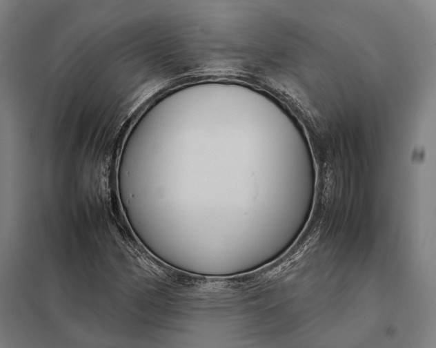 X0000097921162200803281419