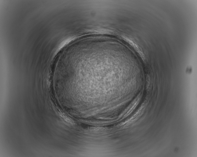 X0000097921163200803281419