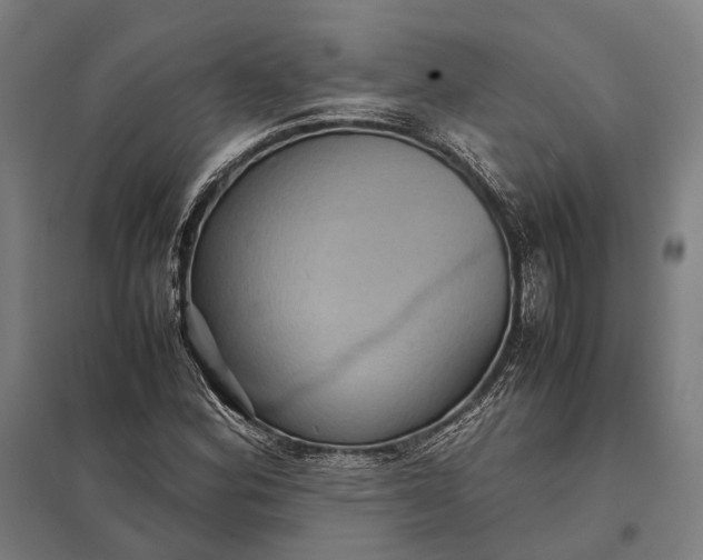 X0000097921164200803281419