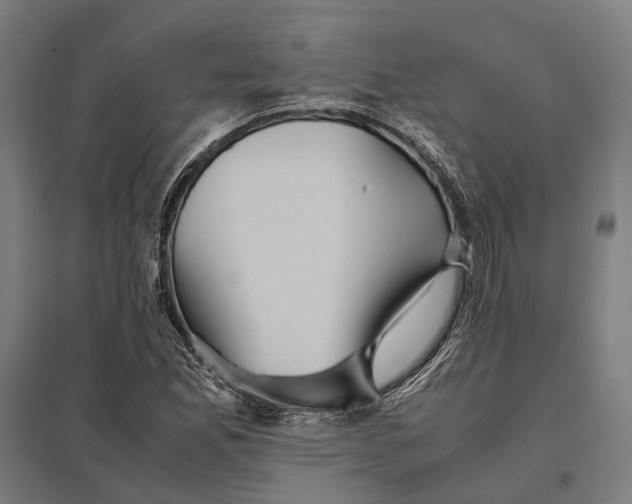 X0000097921165200803281419