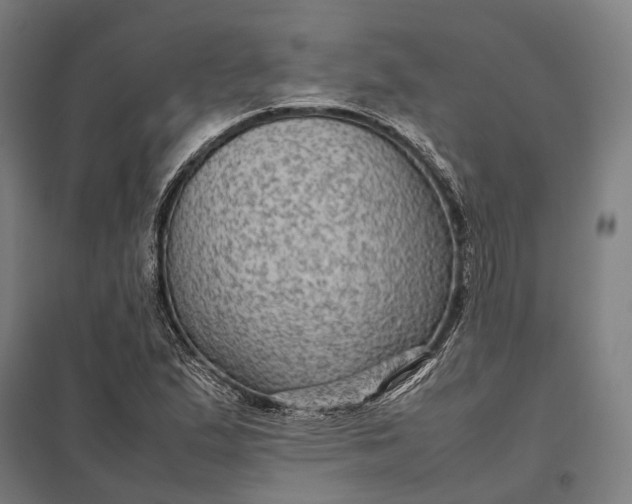 X0000097921167200803281419