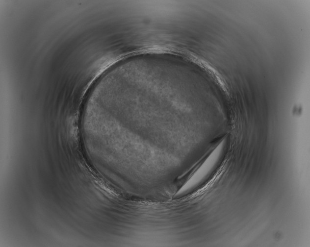 X0000097921170200803281419