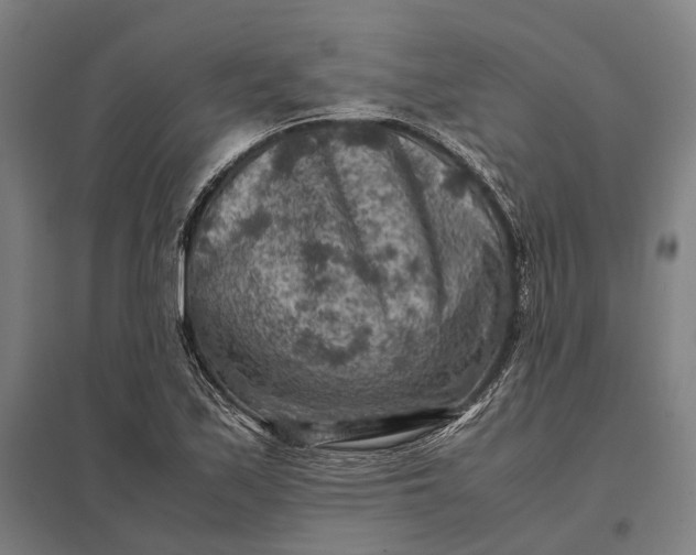 X0000097921171200803281419